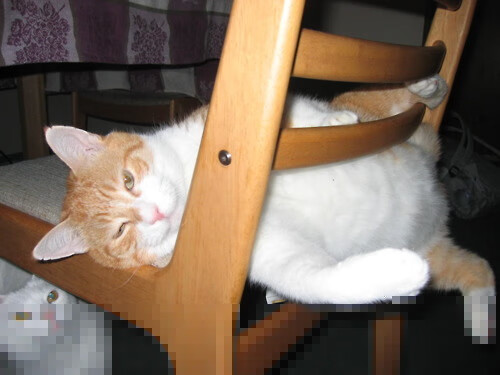 Kering-个人混合泳技术衔接成升级重点,个人混合泳项目