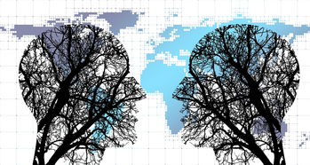 开云网页版-体育新闻中心构建体育赛事图文直播协同平台，最新的体育赛事新闻稿