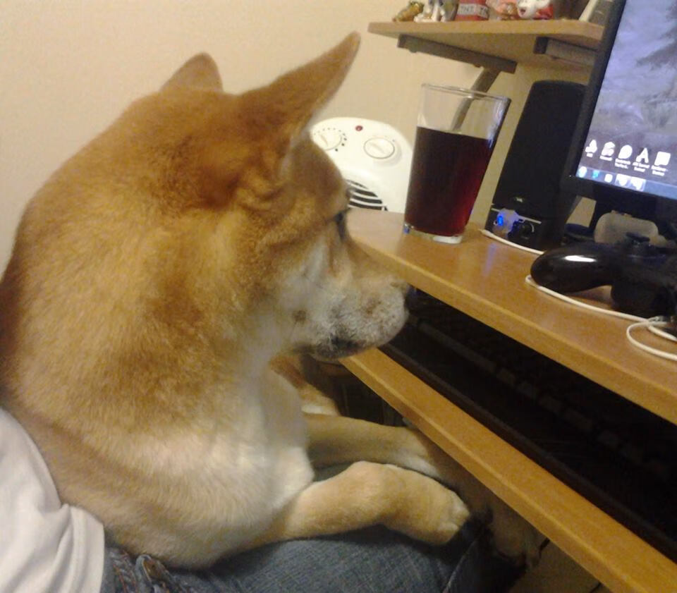 kaiyun-中意选手蝶泳交锋再添看点，中游体育蝶泳